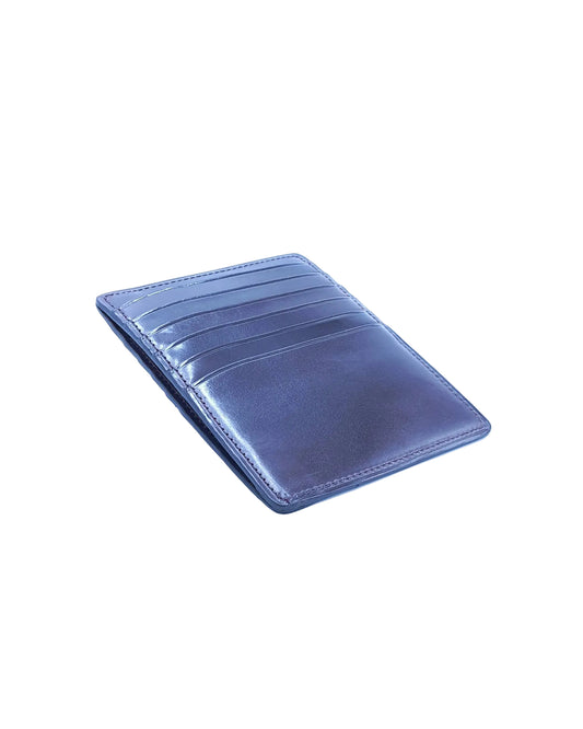 Estuche para tarjetas y documentos con 12 ranuras