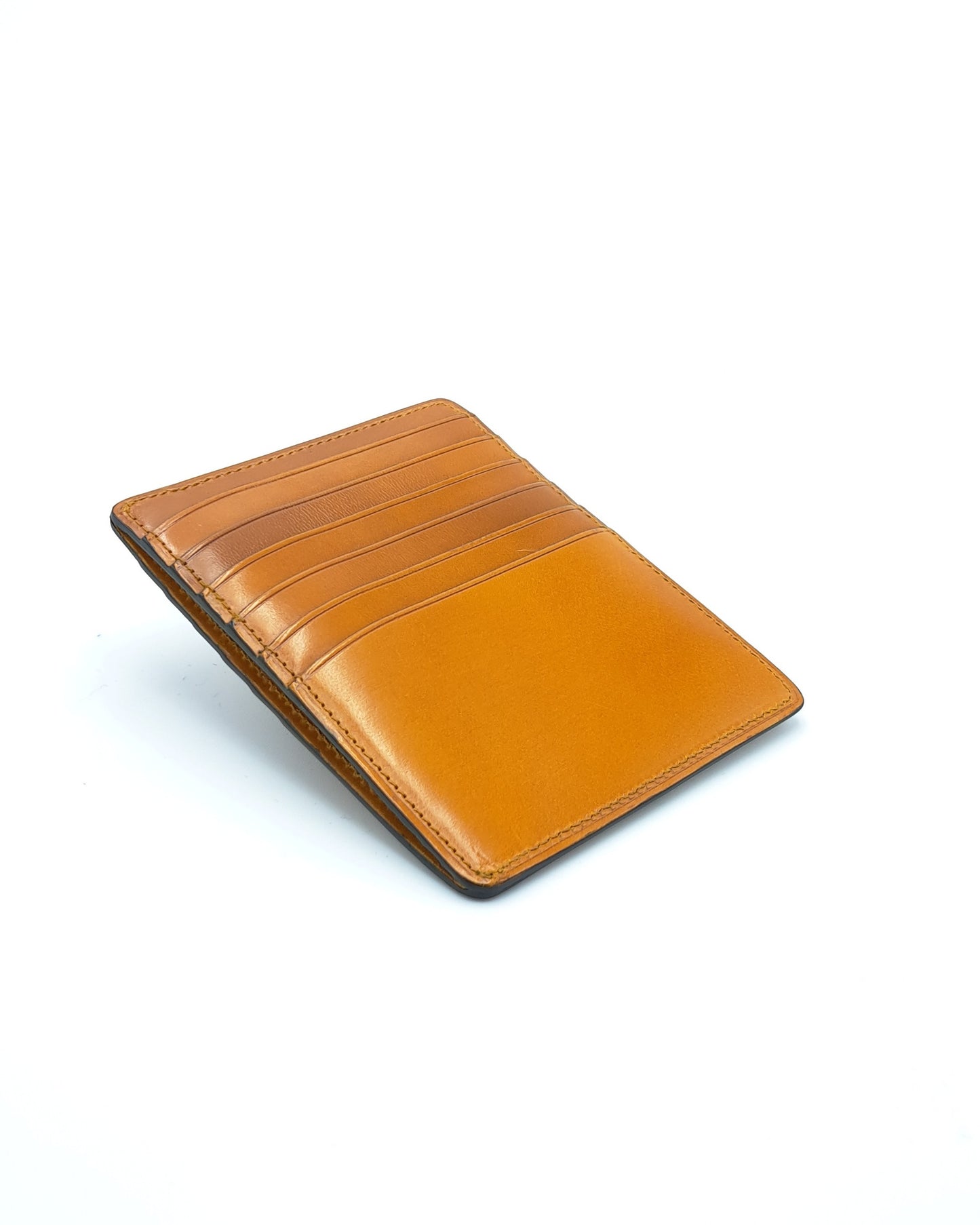 Card and Document Case 12 Slots