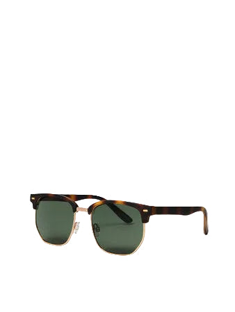 Asher Sunglasses