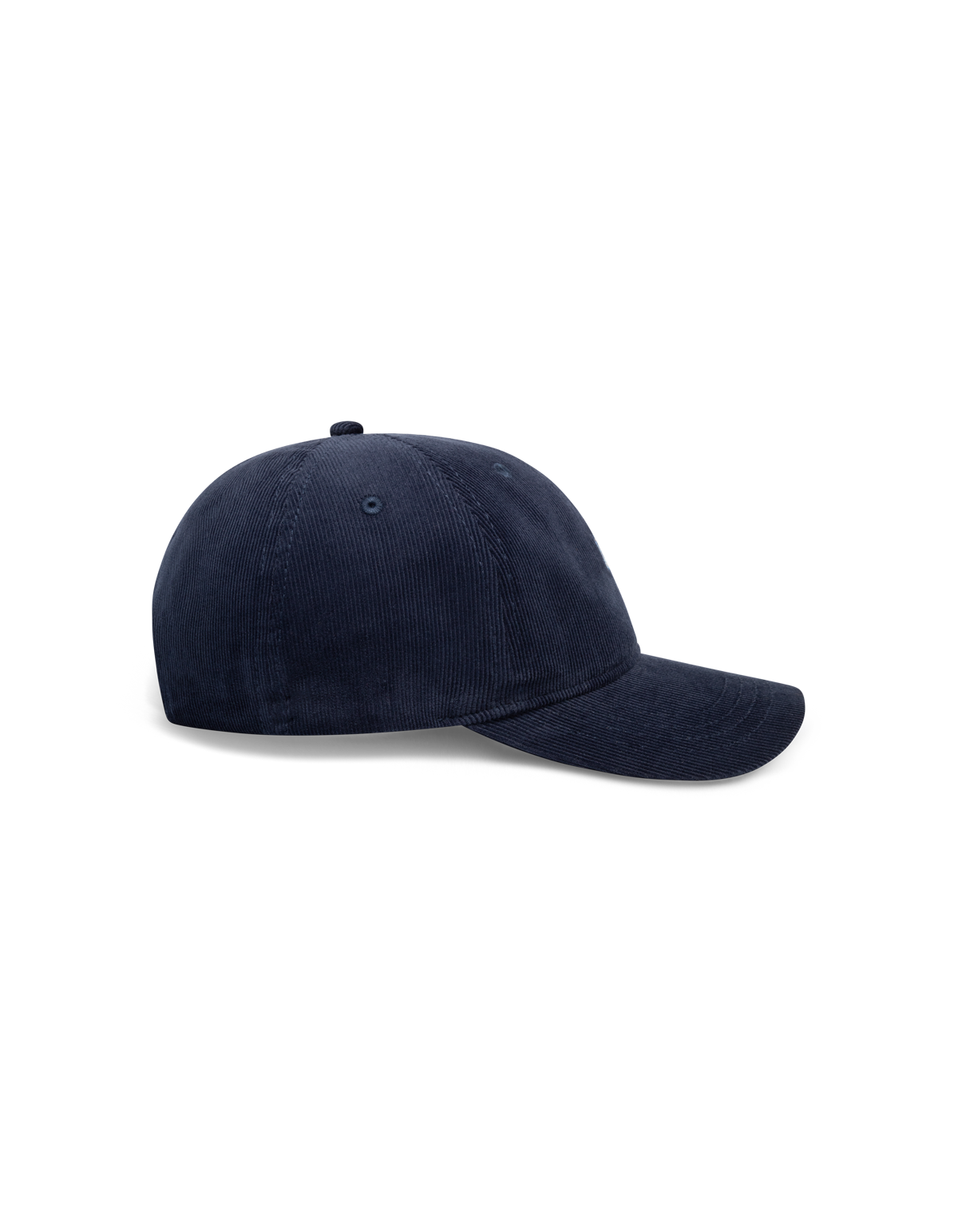 Element Corduroy Dad Cap