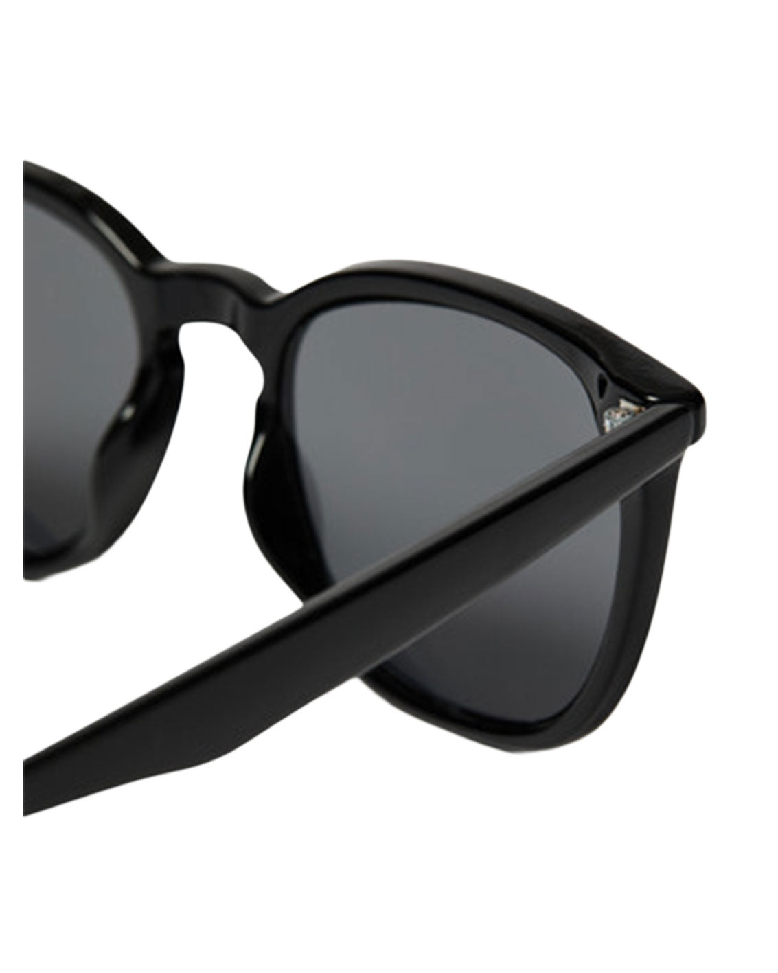 Asher Sunglasses