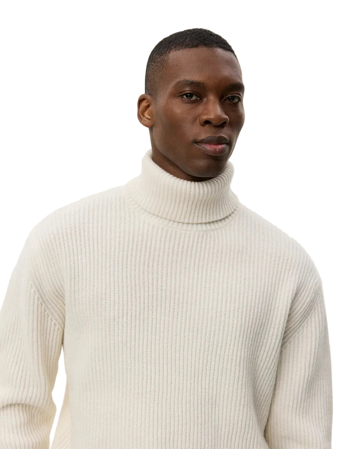 Eddie Wool Rib Rollneck Knit