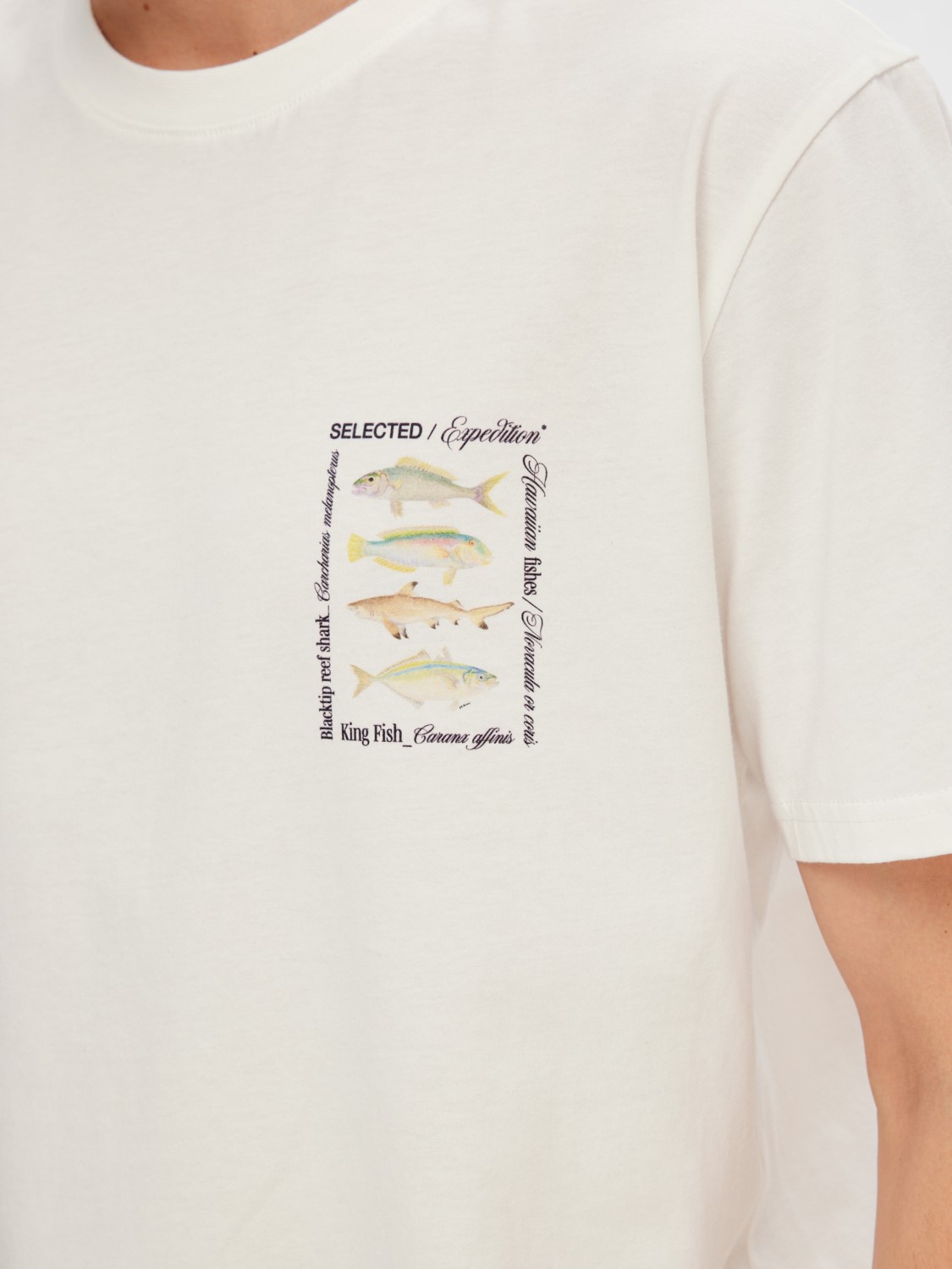 Sonny Print T-Shirt MC